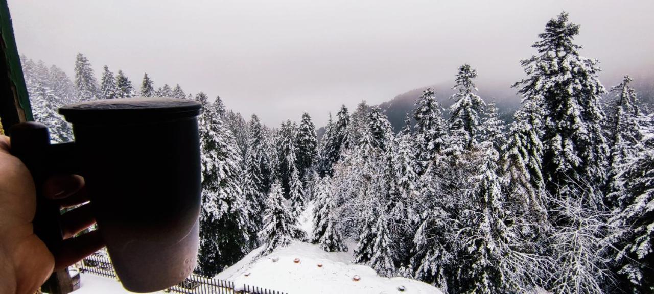 La Cabane De Marie La Bollène-Vésubie エクステリア 写真